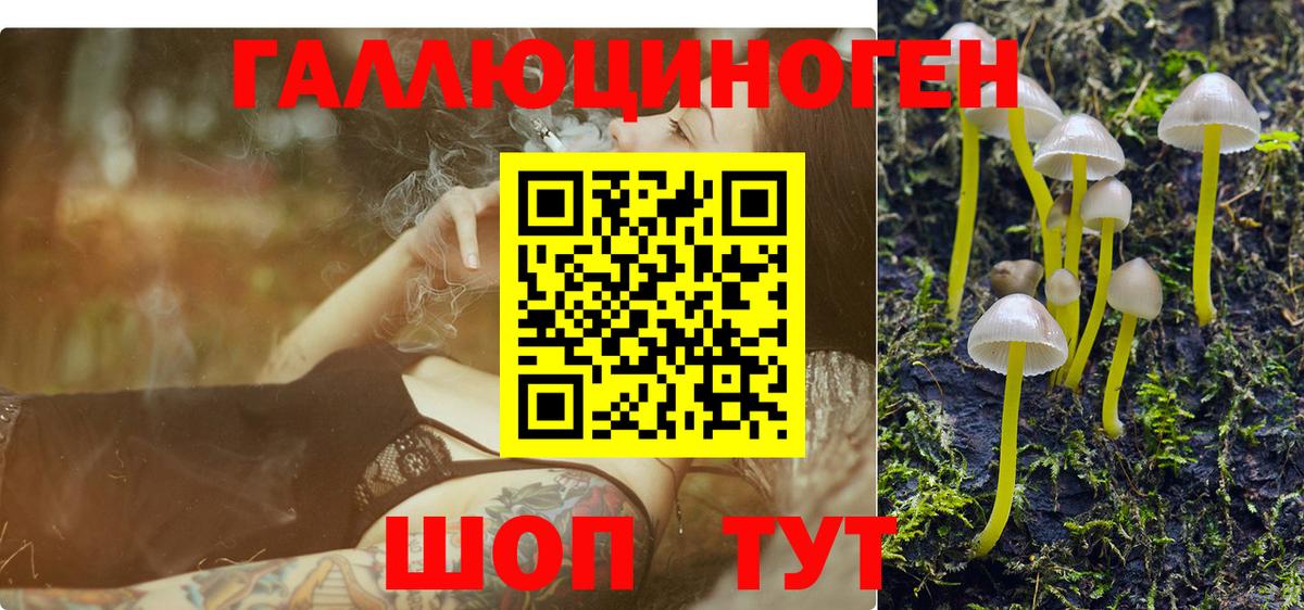 Псилоцибиновые грибы GOLDEN TEACHER Ессентуки