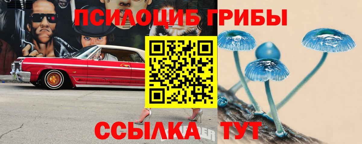Ессентуки  Псилоцибиновые грибы прущие грибы  Вход с VPN 