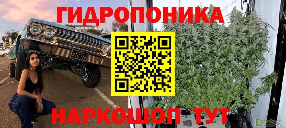 Ессентуки  Шишки марихуана сатива  Бошки Шишки Ganja  Бошки Шишки сатива  Вход с VPN 